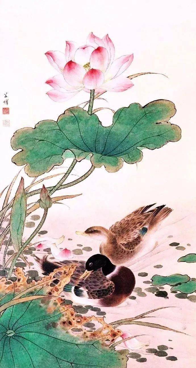 花鸟大师田世光画荷,太漂亮啦!_工笔_荷花_先生