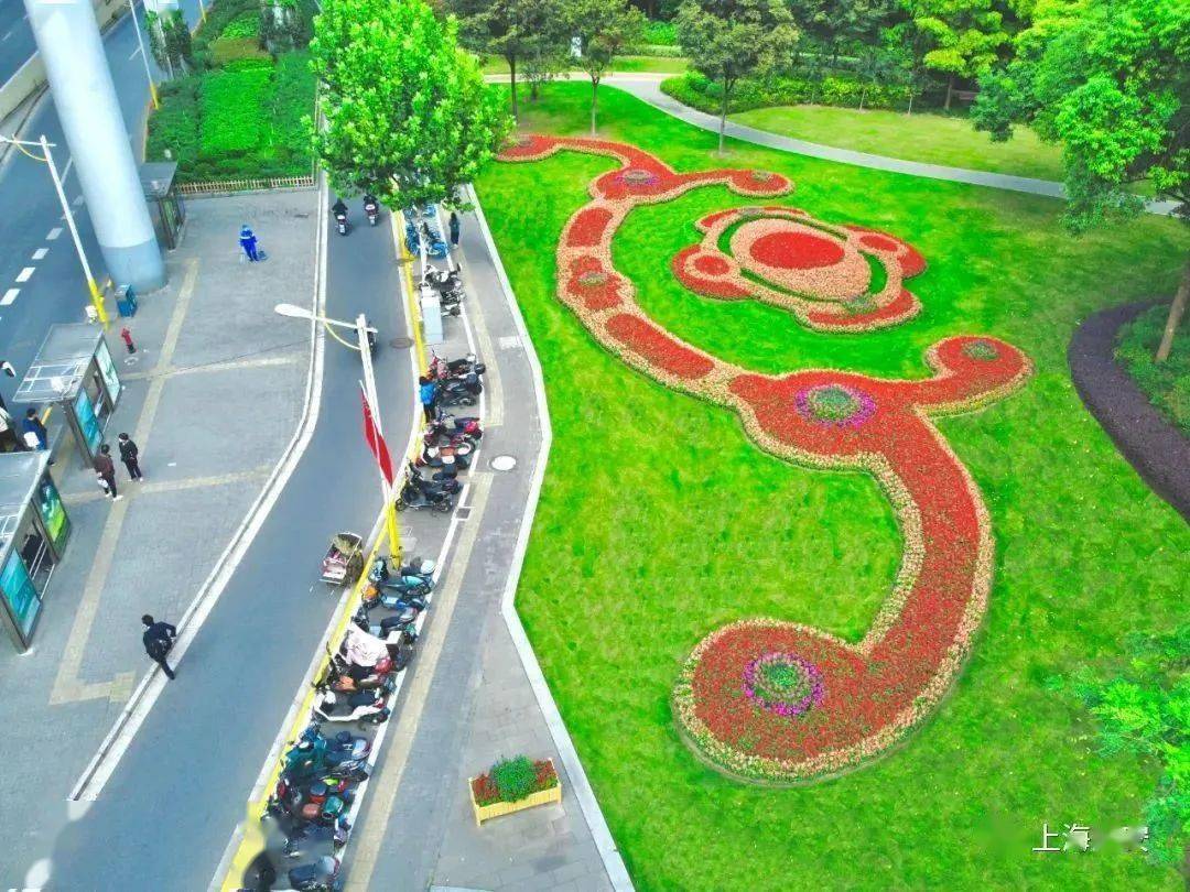 静安区公园园艺再获佳绩_花坛_植物_种植