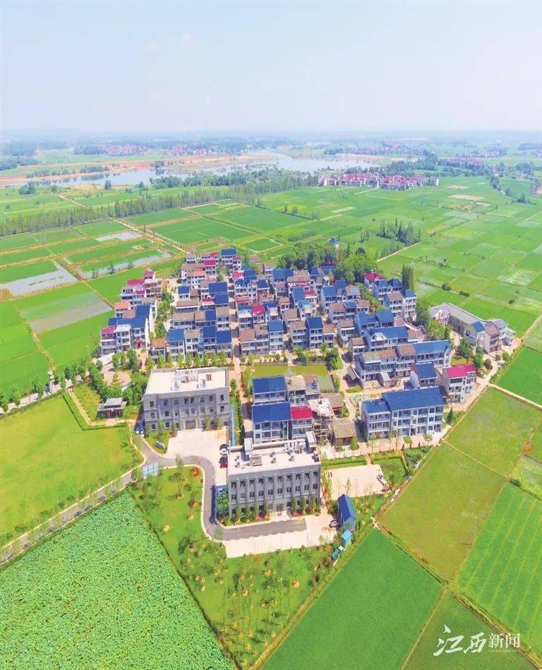 美丽乡村入画来 ——鹰潭市全域推进"物业进乡村"掠影_服务_村民_农村