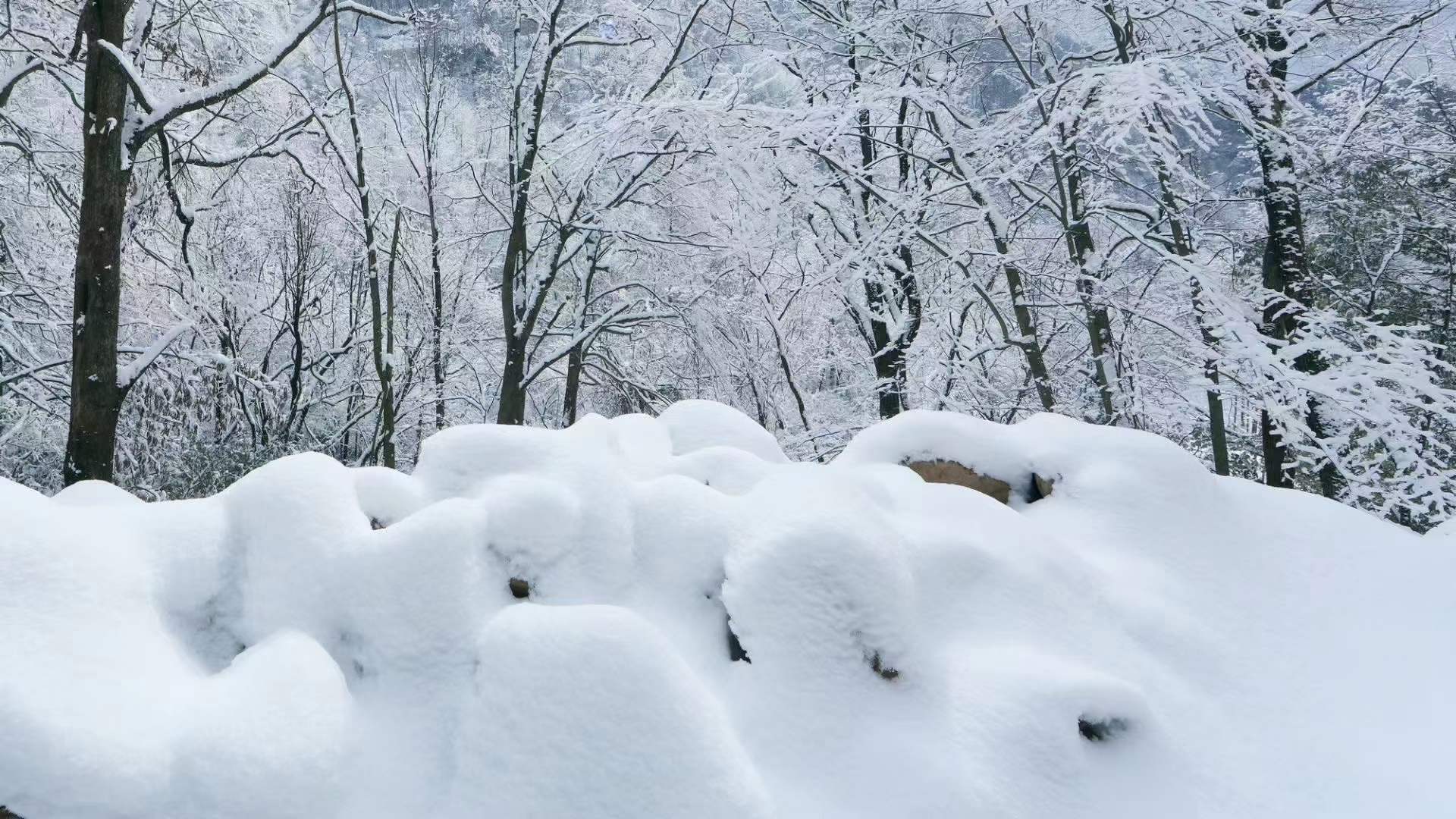 雪淞胜景宛如仙境,曾家山下雪啦,网友:看雪景和过年一样高兴