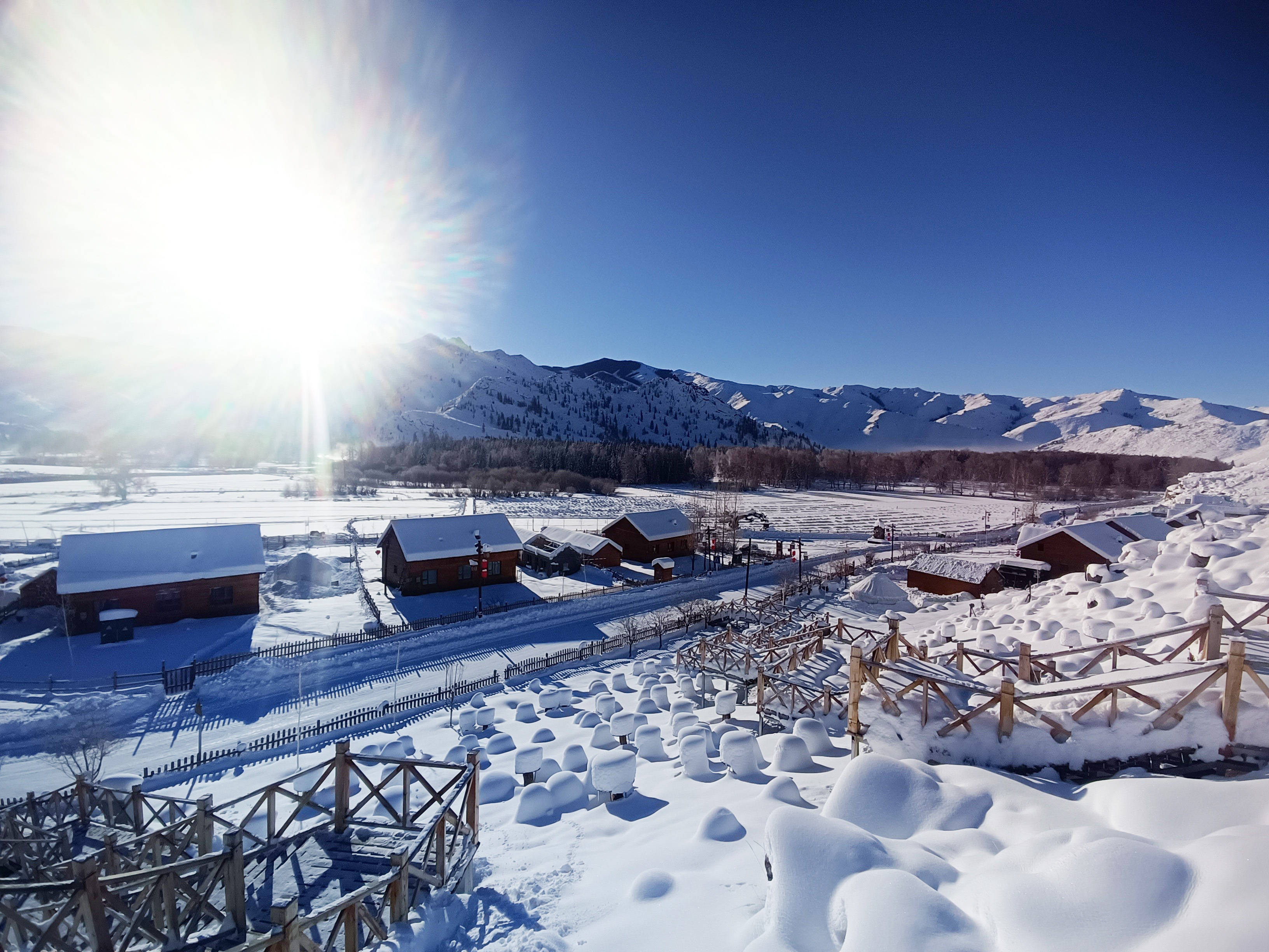 额河第一村长满雪蘑菇