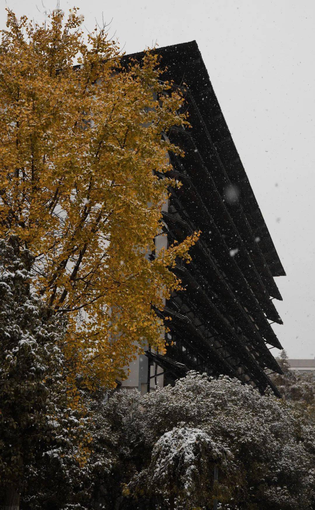 来源:中国美术学院编辑:侯雨慈校对:葛添易审核:冯可欣如何投稿中国