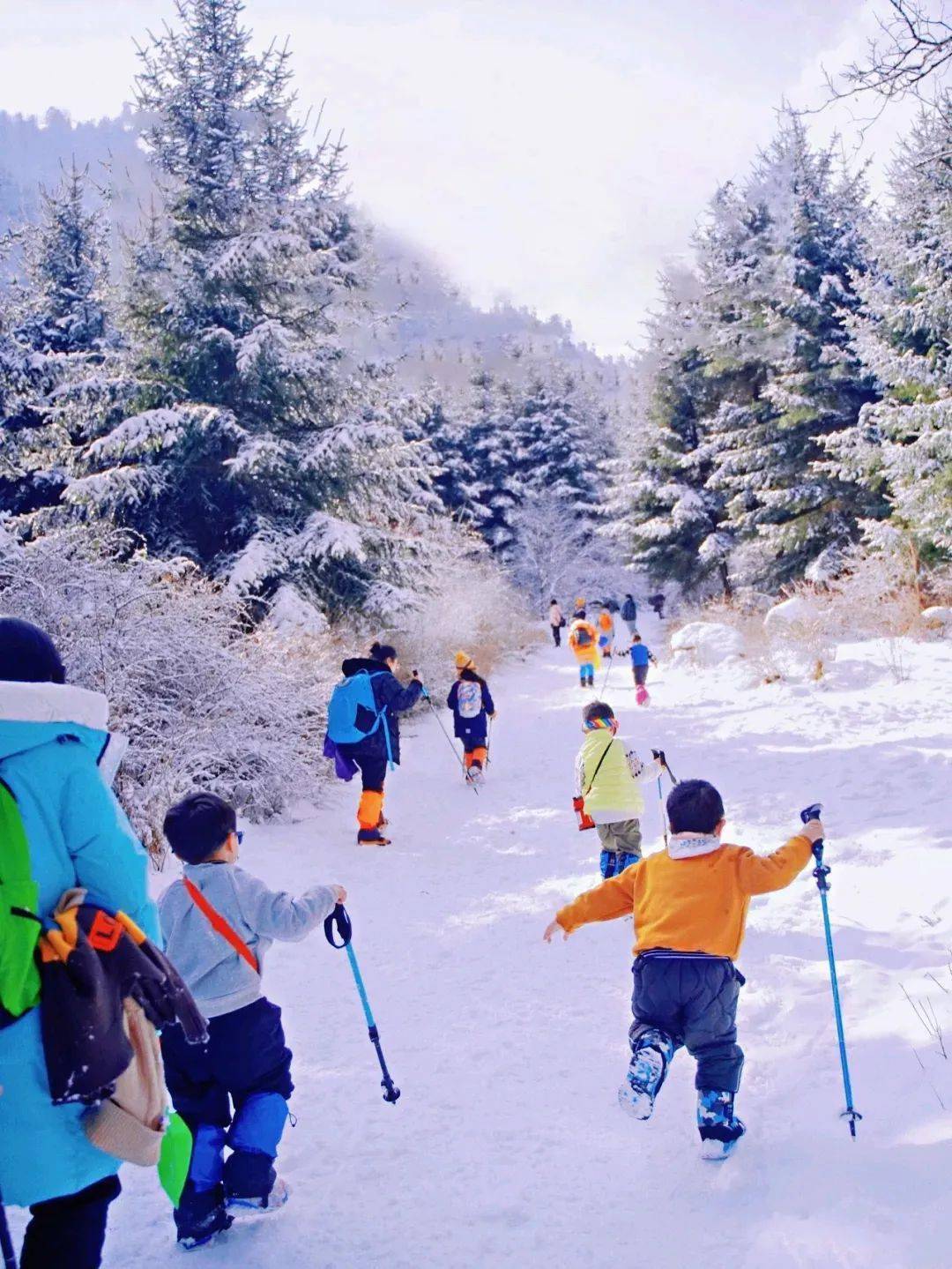 邂逅秦岭雪景,山林轻徒步,打雪仗堆雪人,奔赴一场冬日童话!