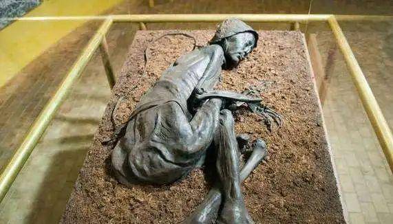 尸体_妇女_研究