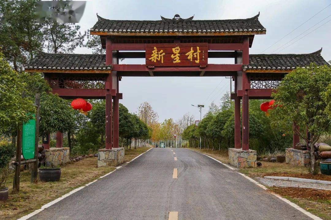 【打赢收官战 决胜全年红】街河市镇:延伸发展线_新星村_项目_生猪