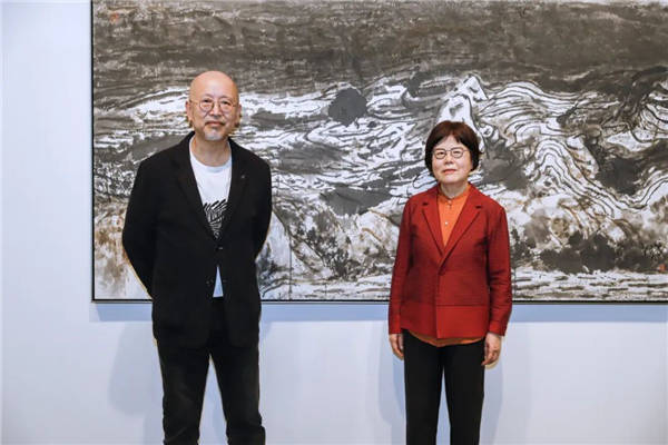 新民艺评|林距离:"不合理"的道理_何曦_艺术_张雷平