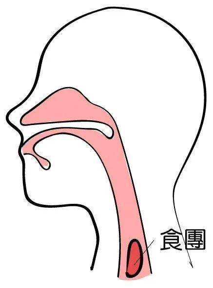 吞口图片手绘图片