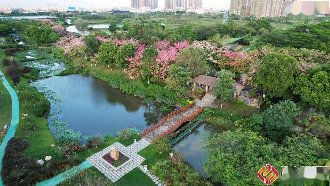 來丹灶翰林湖,邂逅冬日粉色浪漫!_營地_公園_農業