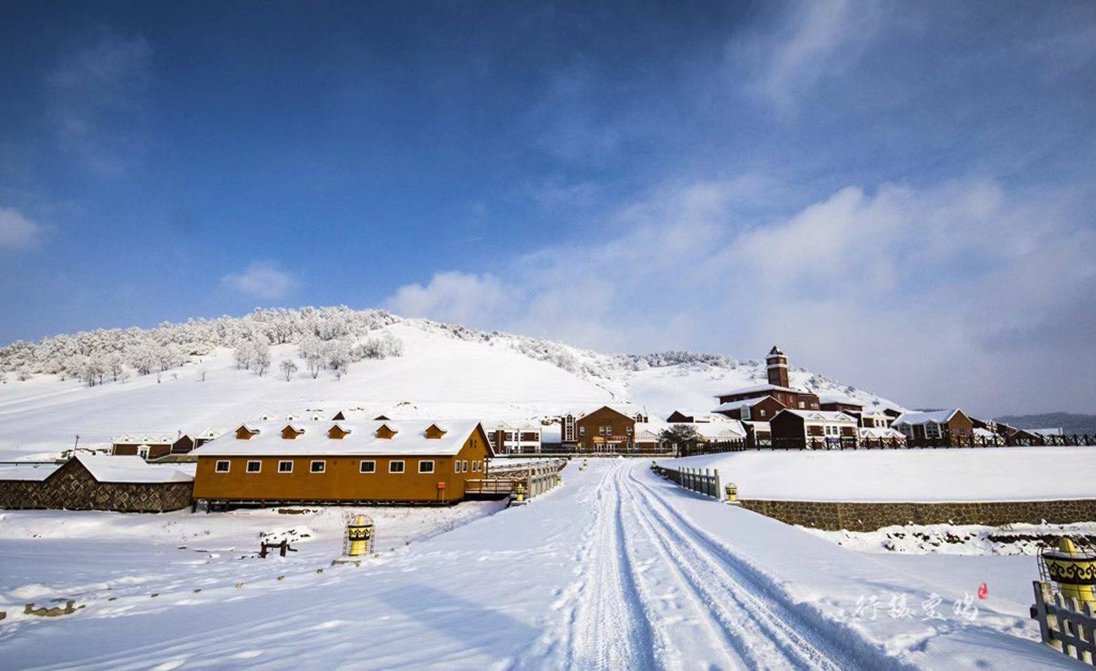 岭南公园雪景图片