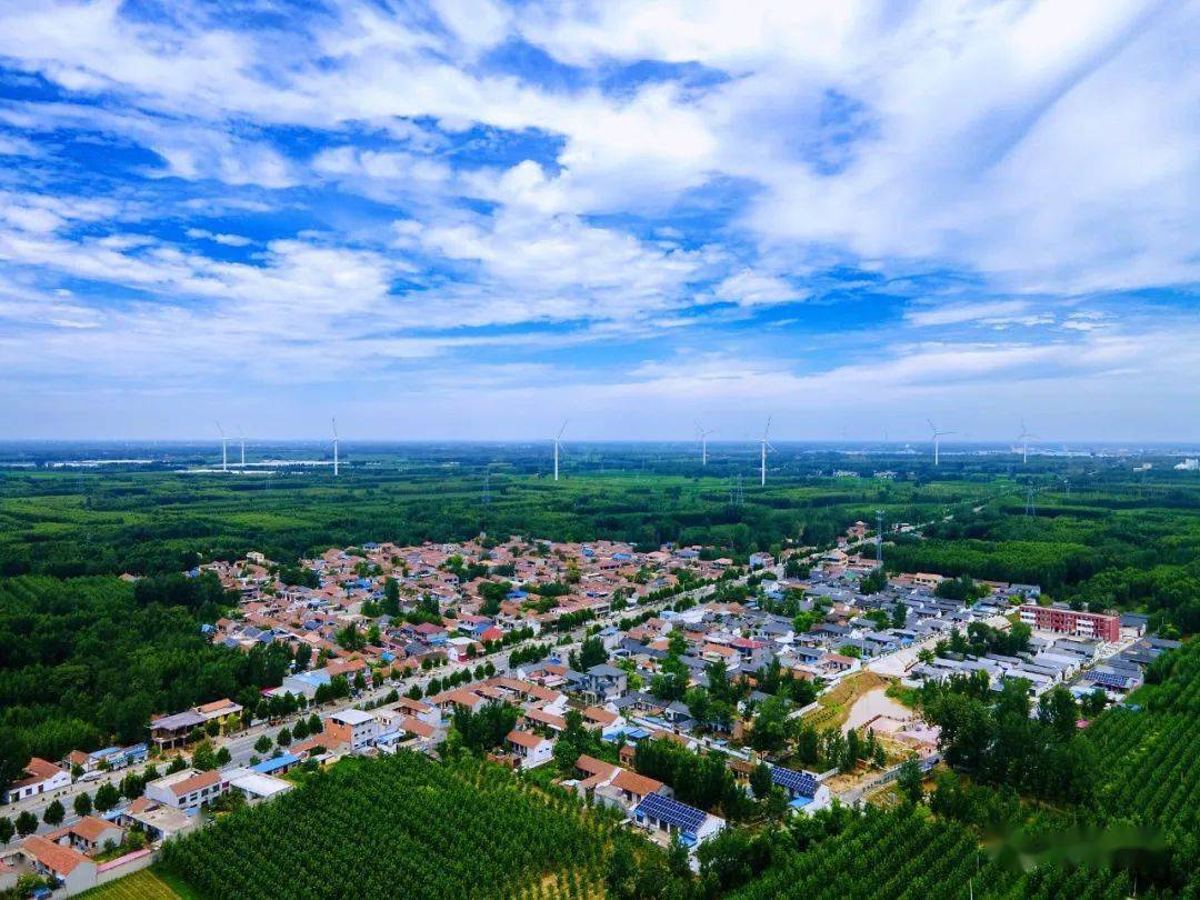 走进后河镇桑村_内黄_景观_大屠杀