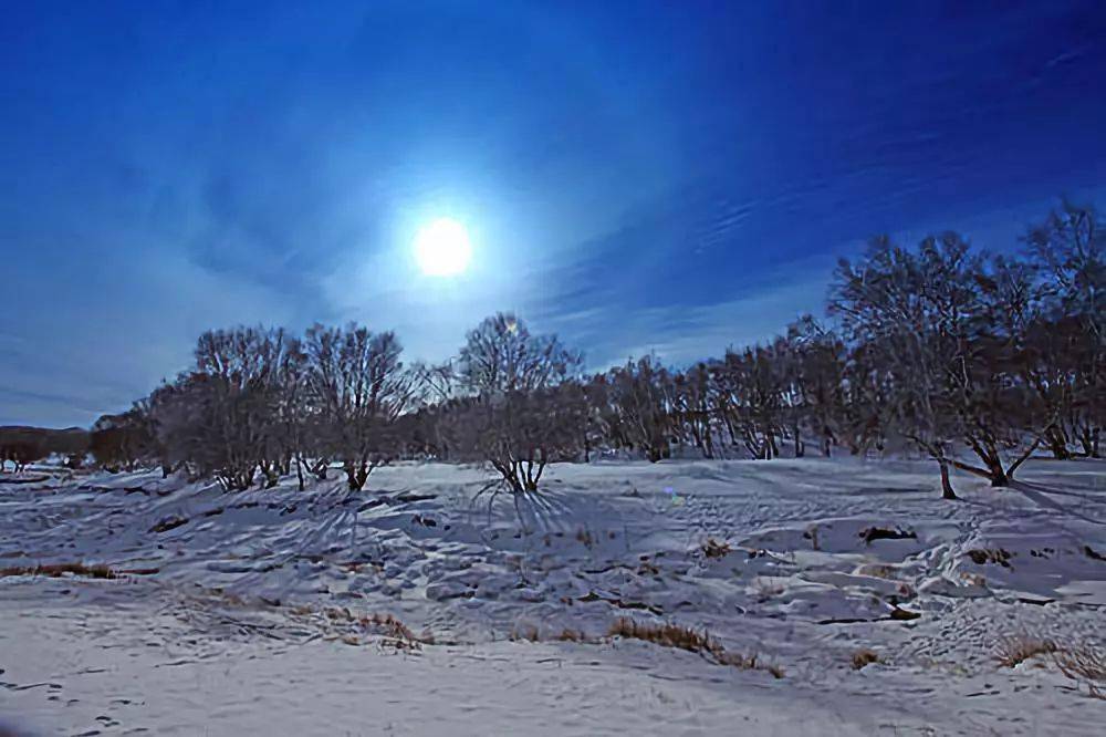 大雪美景图片大全图片