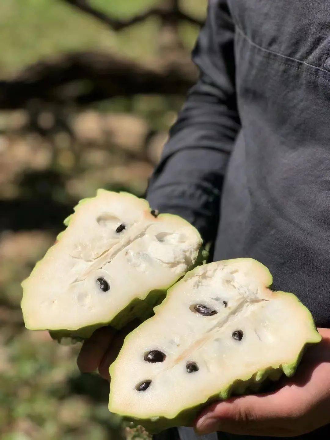 產地食材 ▎當季新鮮釋迦果,甜而不膩,軟糯多汁～_口感_生活_食用