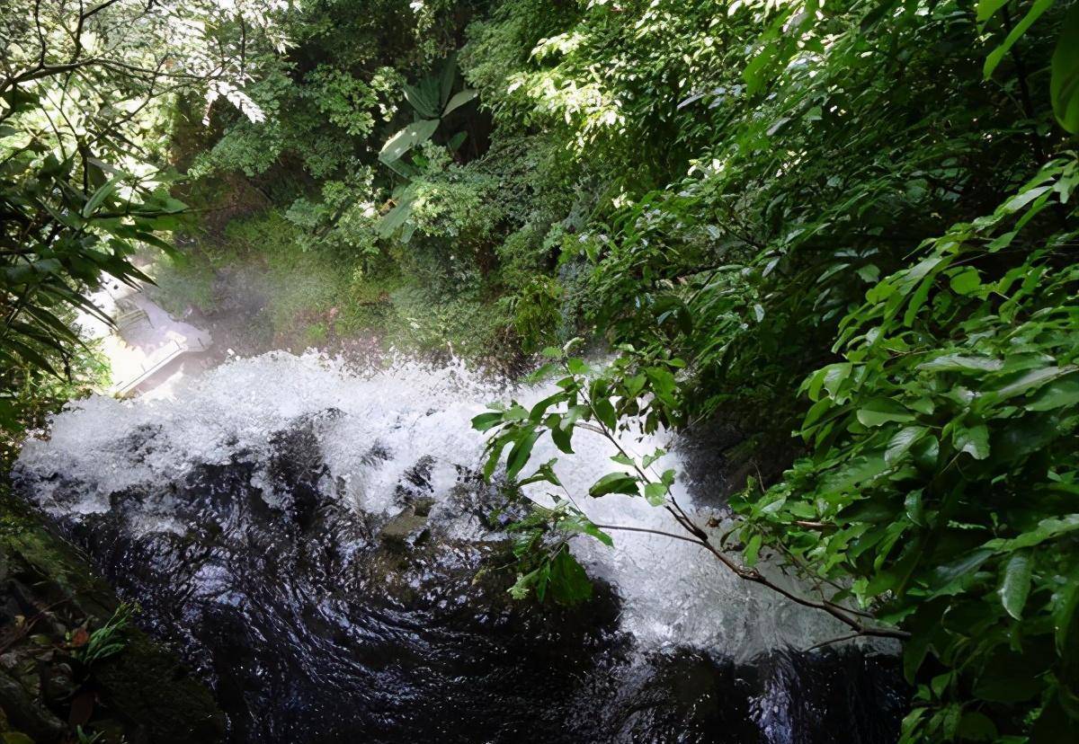 来广东德庆盘龙峡漂流!就问你敢不敢_景区_夏天_瀑布