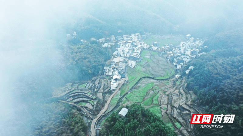 湖南新田：云雾缭绕村落映雪如仙境