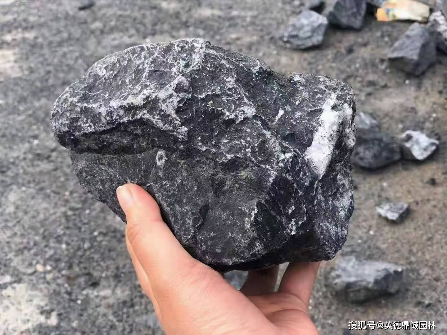 黑山石是一种我们打造风景美化的大自然假山石_景观_效果_造景