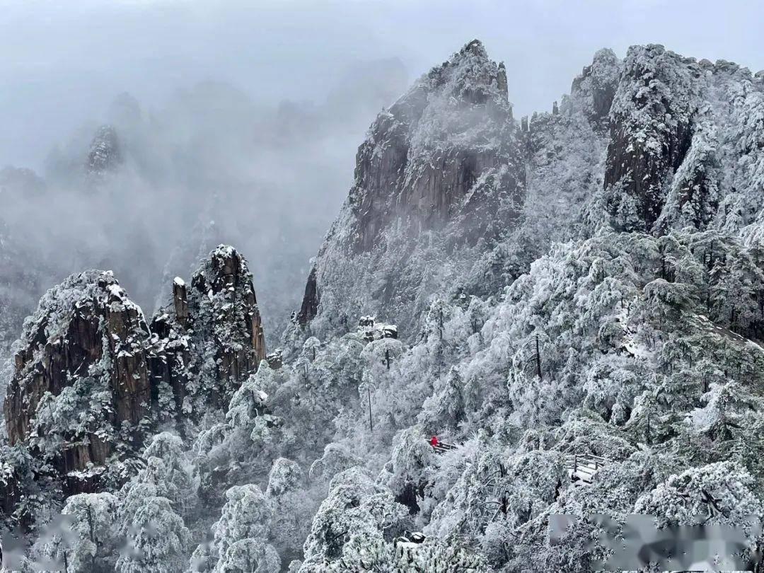 雪后黄山冰雪仙境图片