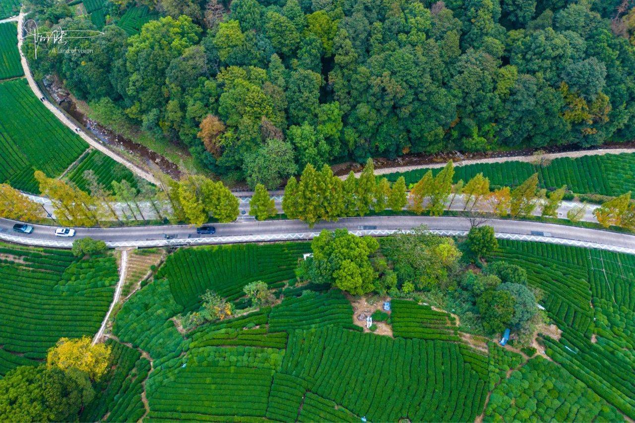 小道是杭州秋色最美的地方,离西湖仅仅5公里_梅灵南路_风景_梅家坞