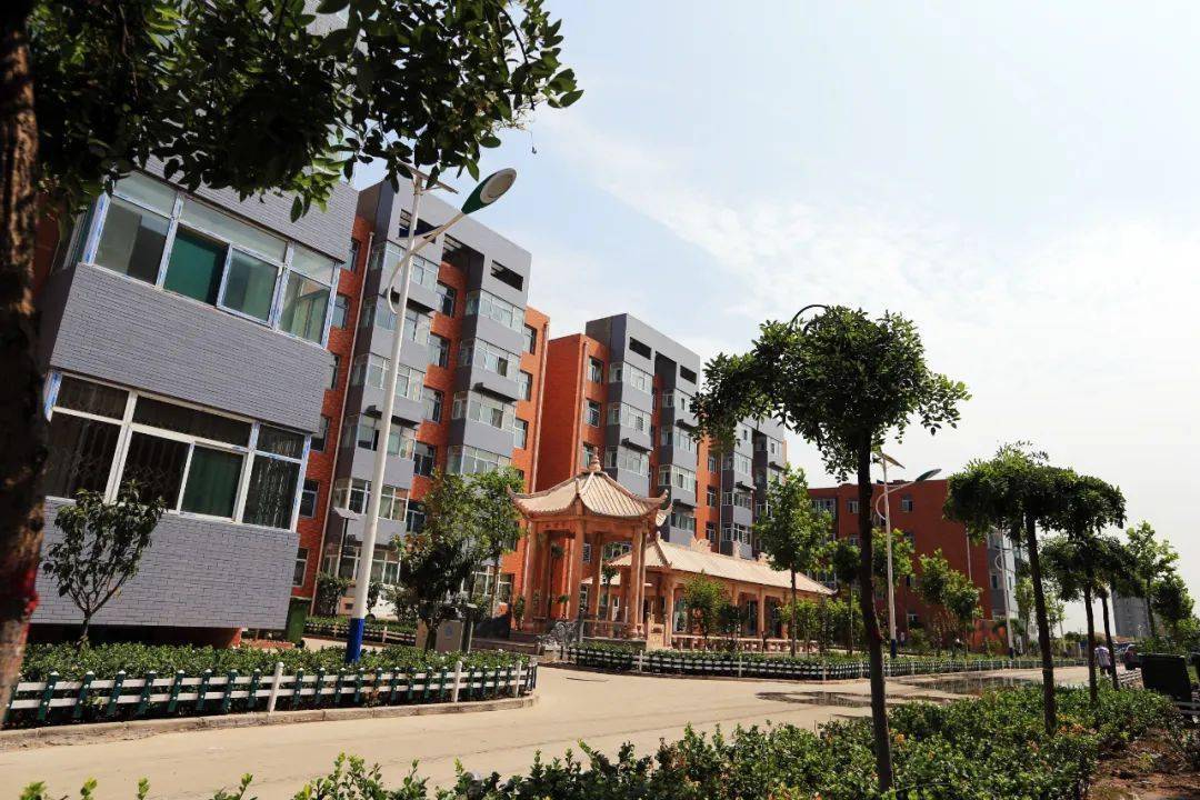 【乡镇风采】用心用情办事 全心全力服务——孝义市梧桐镇努力建设
