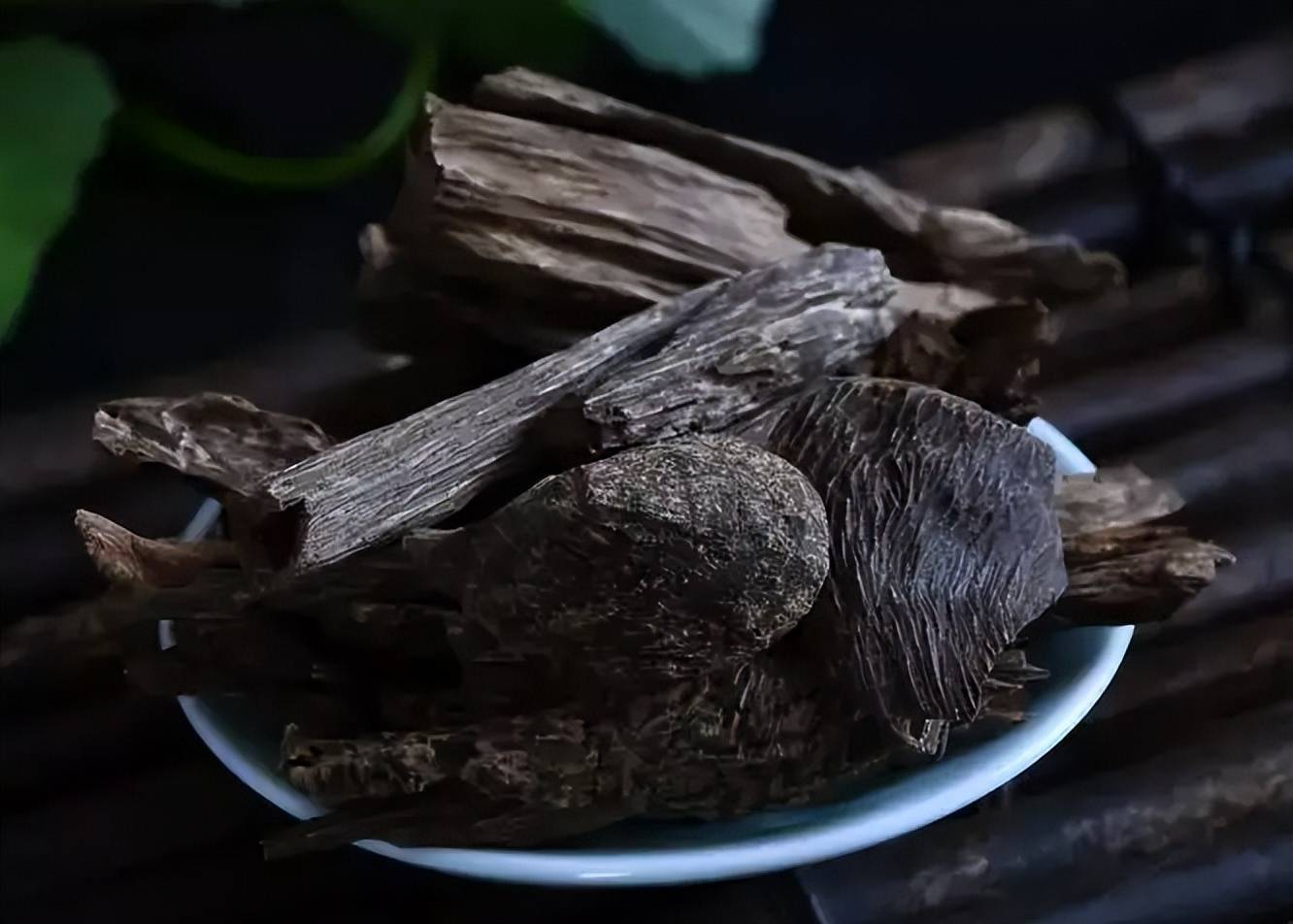 莞香:众香之首,曾经的皇室专属_沉香_中国_东莞