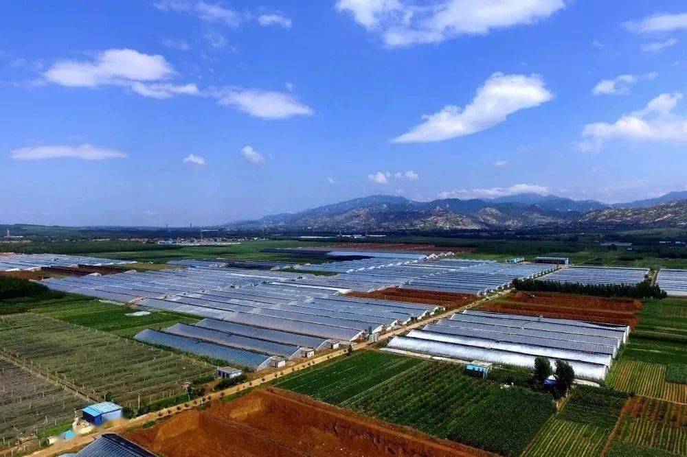 乡村振兴青年人才服务站 | 平邑县卞桥镇这样建