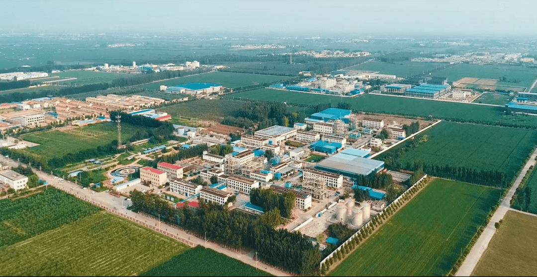 获嘉县照镜镇:一以贯之全过程人民民主的楼村实践_工作_群众_企业