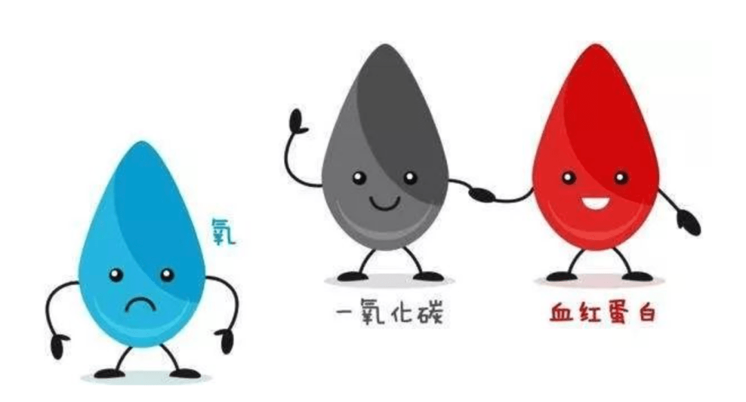 一氧化碳与血红蛋白的亲和力是氧气与血红蛋白亲和力的200倍,也可与