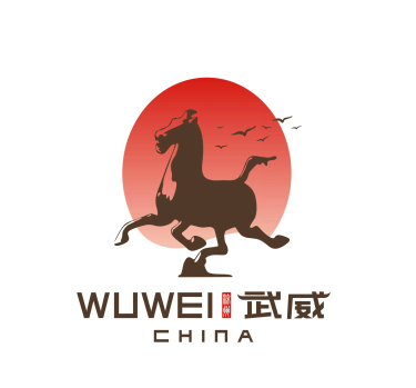 甘肃省武威市文化旅游统一标志(logo)征集 网络投票开始啦!