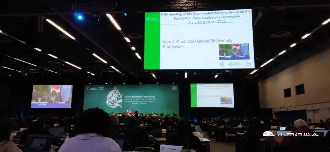 《生物多样性公约》2020后全球生物多样性框架不限成员名额工作组第五次会议闭幕 | 绿会代表团讯