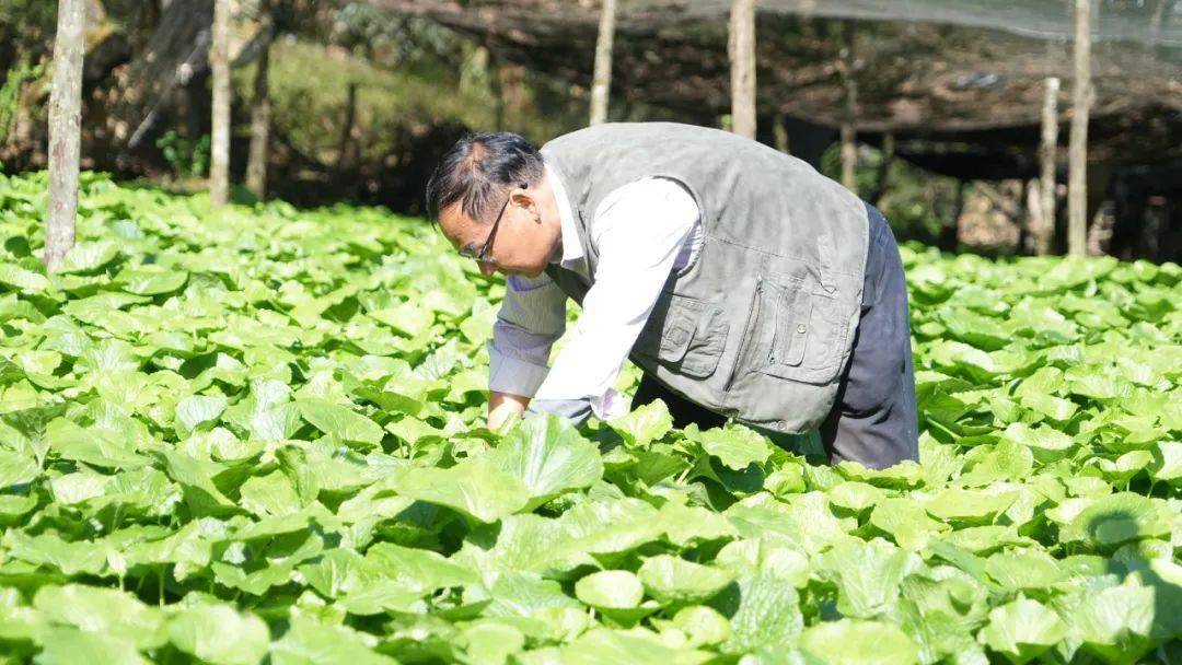 刘忠辉是漾濞县原副县长,8年前退休.