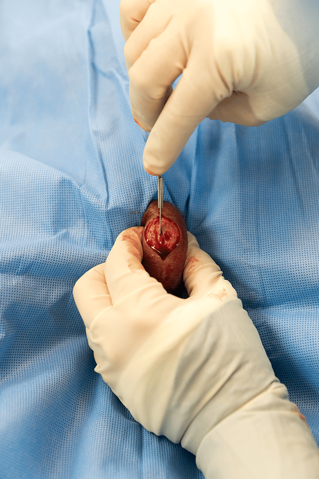 20张临床图片详解动物摆位,手术步骤