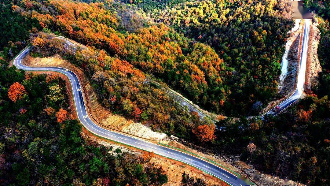 府河镇镇长张平介绍说:"春天,交通公路部门在道路两边的路肩上种上了