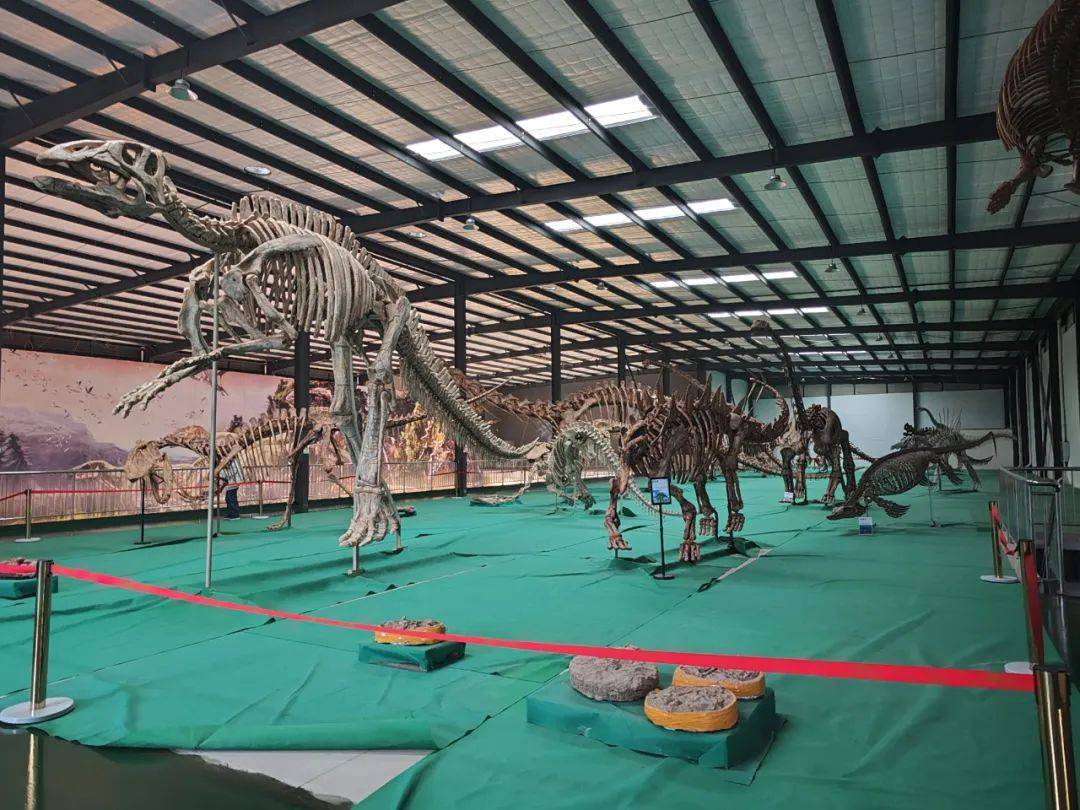 读城〕崇州天演博物馆,藏在身边的稀世珍宝_化石_成都_世界