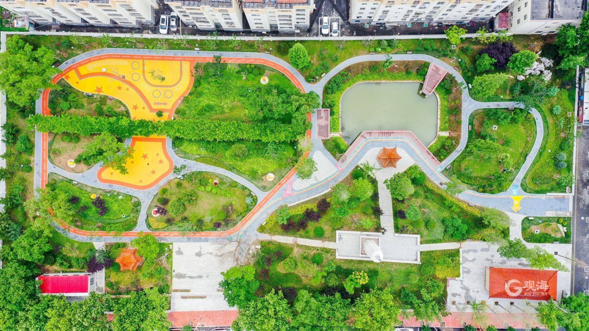 藏不住了!青岛人熟悉的中山公园大变样插图6