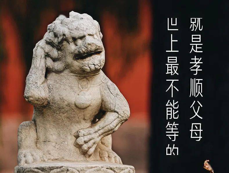 这么浪费水,下辈子就会投胎到没水的地区.