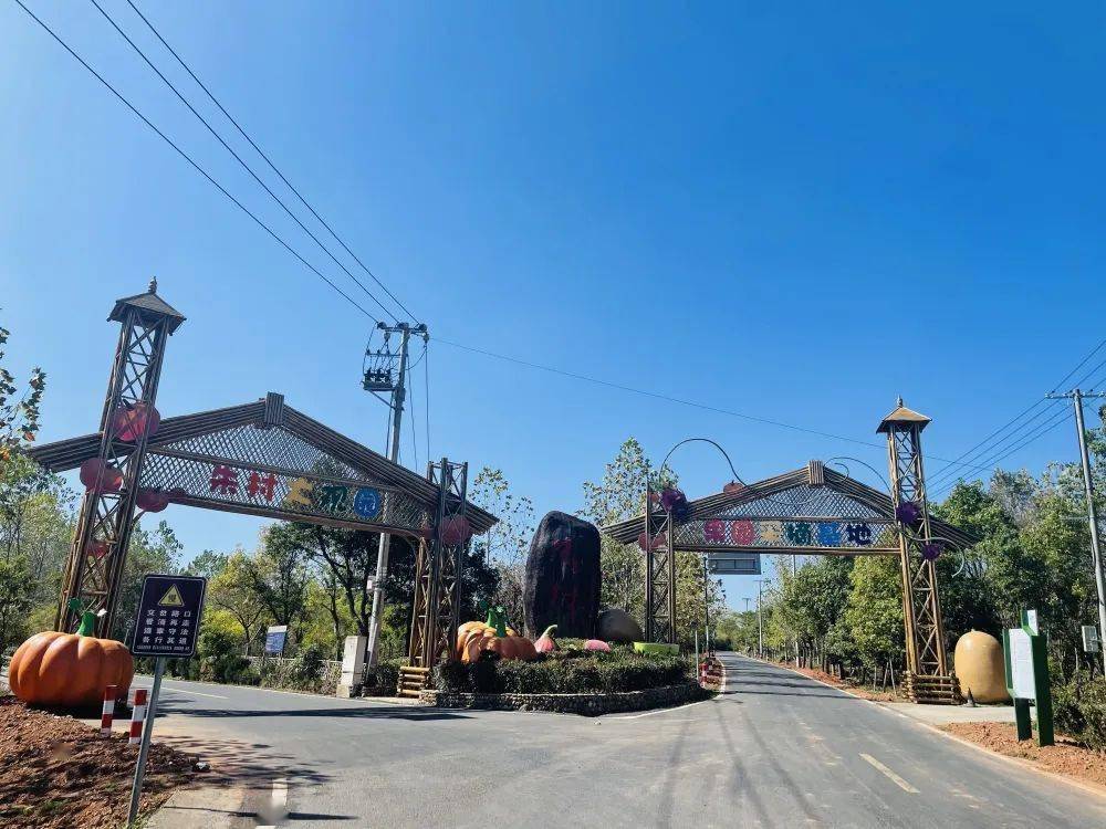 屯溪区奕棋镇:诗意田园 生态朱村_乡村_特色_农业