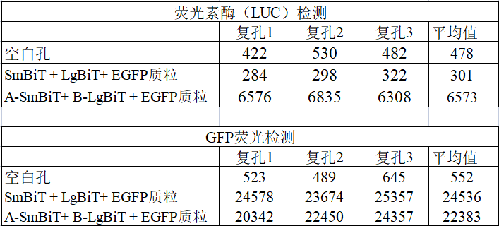 egfp质粒转染分组:e37,5%co2培养箱中培养48h后,检测egfp荧光值