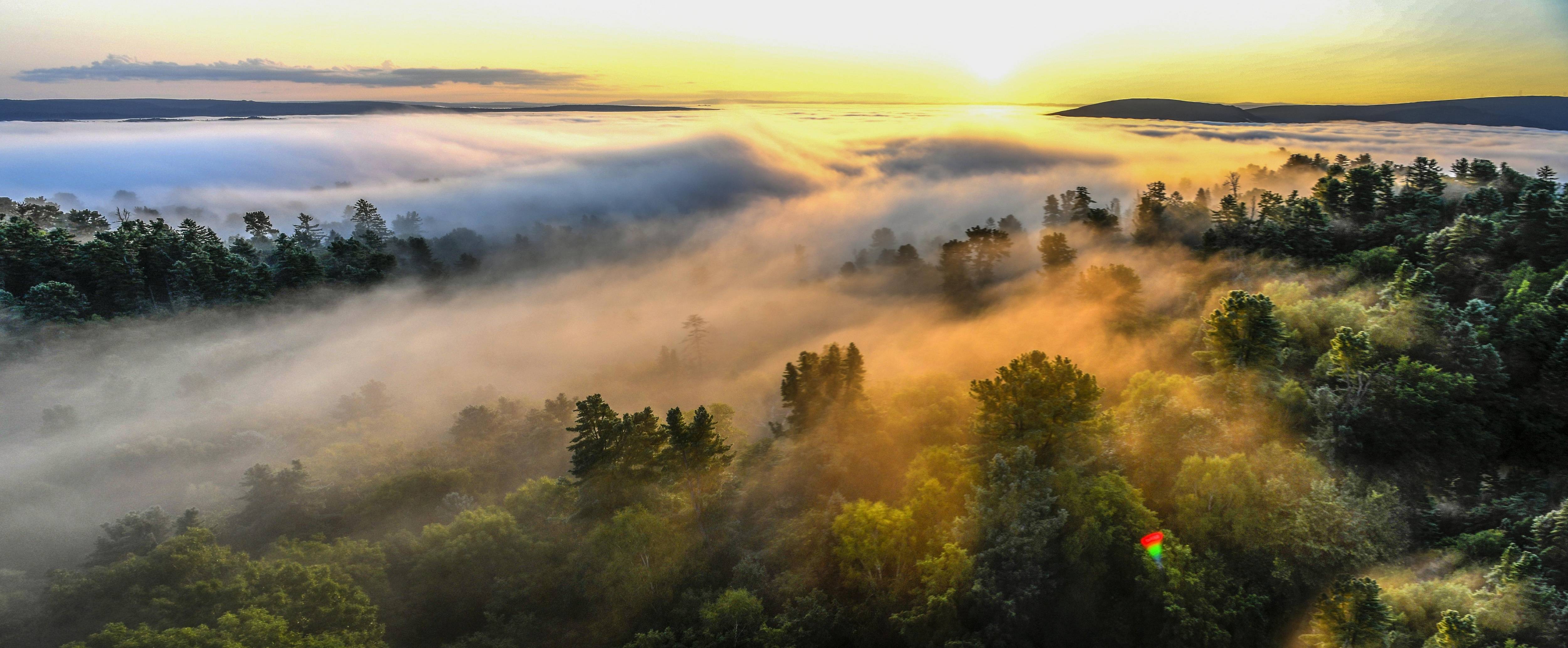 黑龙江"氧吧经济"如何借势腾飞?_中国_乡村_伊春市