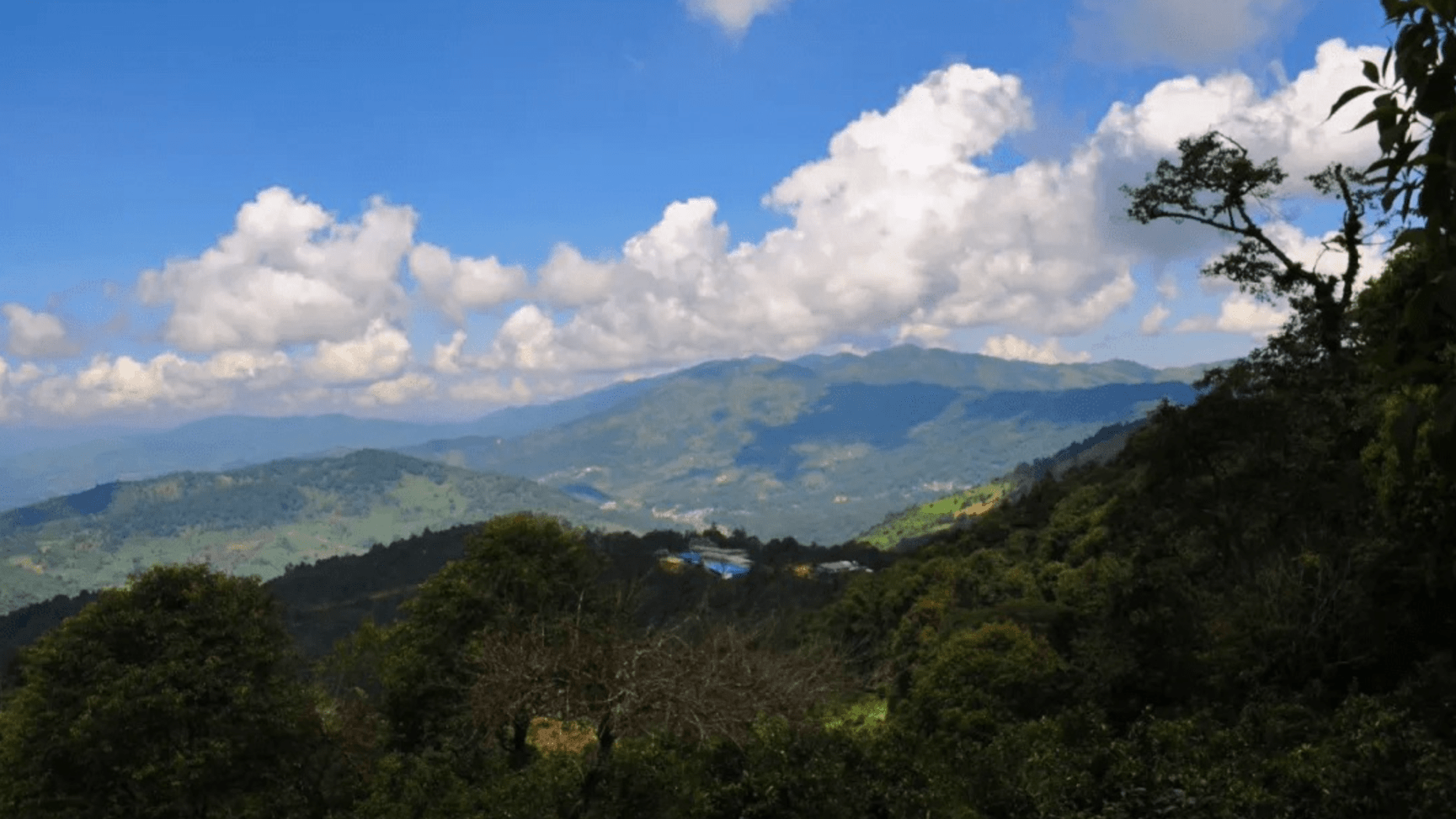 布朗山,位于西双版纳勐海县境内,靠近中缅边界,是著名的普洱产区,也是