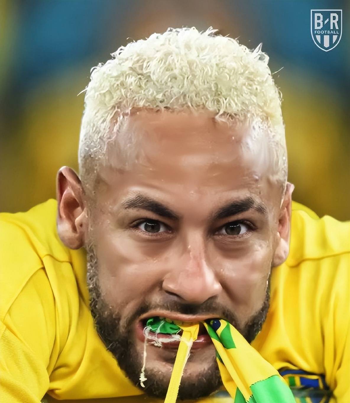 群平时连五大联赛都不看的神棍赌徒忽悠,因为没有獠牙的他们真的不配