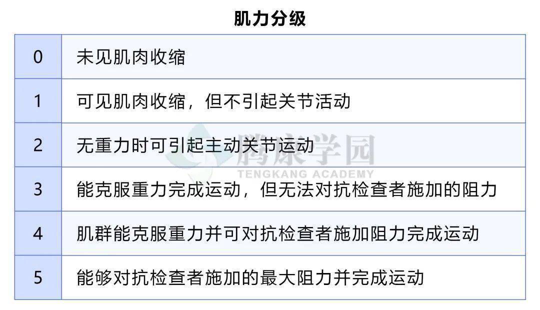 在完成整复后,重新评估两个动作的肌力,希望可以达到5级,即正常肌力