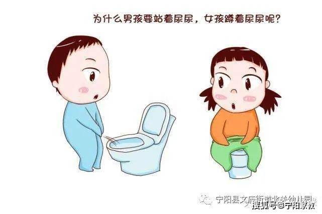 培养男孩蹲着尿图片