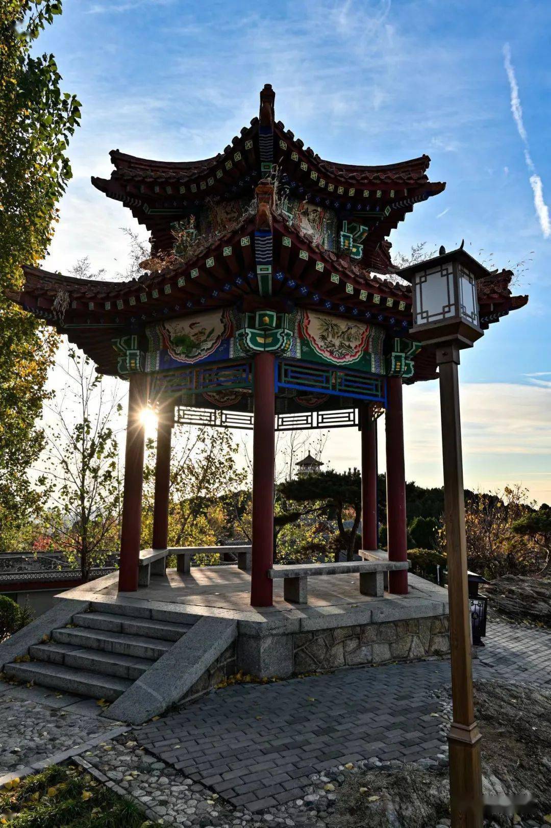 冬日虎山:暖阳晴空碧,冬景亦斑斓_叶片_公园_景区