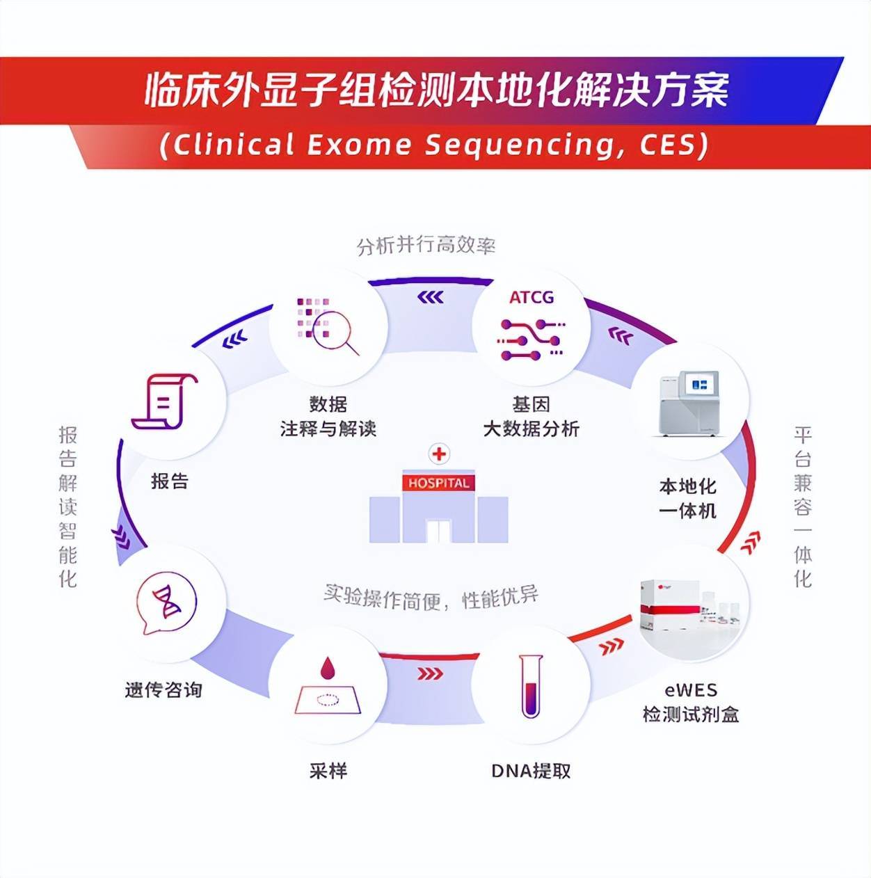 响应一带一路倡议,贝瑞基因ces产品加速出海