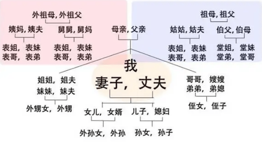 姨夫却是丈夫的夫?过节走亲戚用得上_关系_称呼_家族