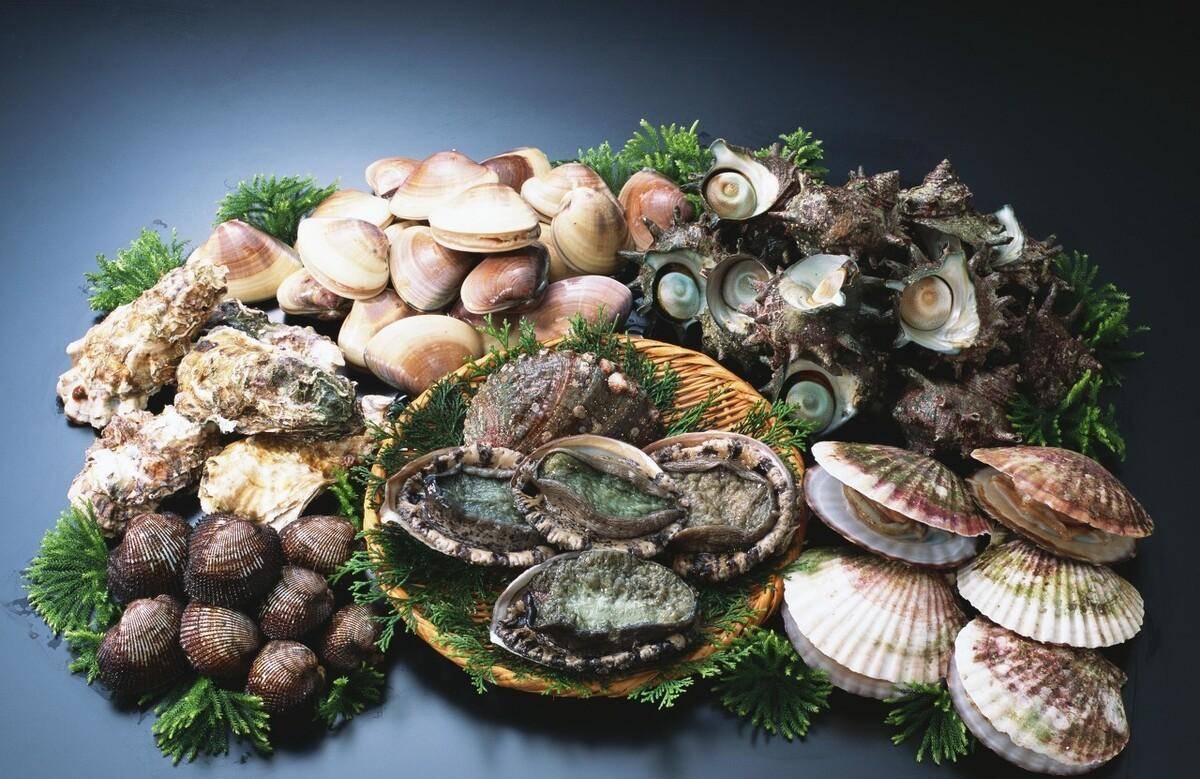 贝壳类海鲜大拼盘图片