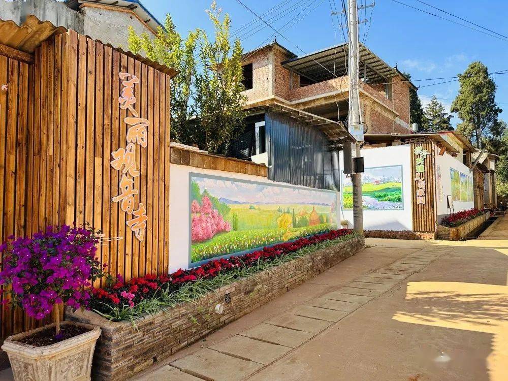 江川雄关乡观音寺小组:"四级联创"助推乡村风貌换新颜_发展_基层_群众