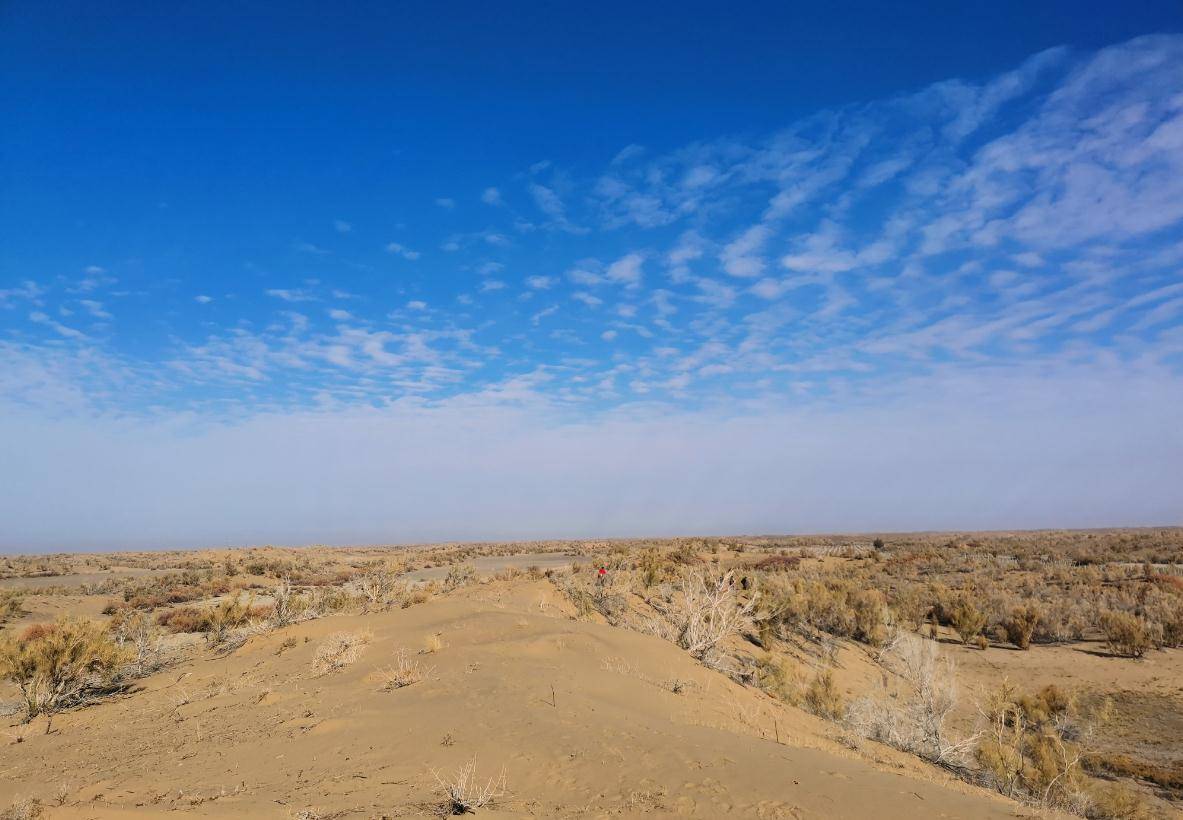 古尔班通古特沙漠气候图片