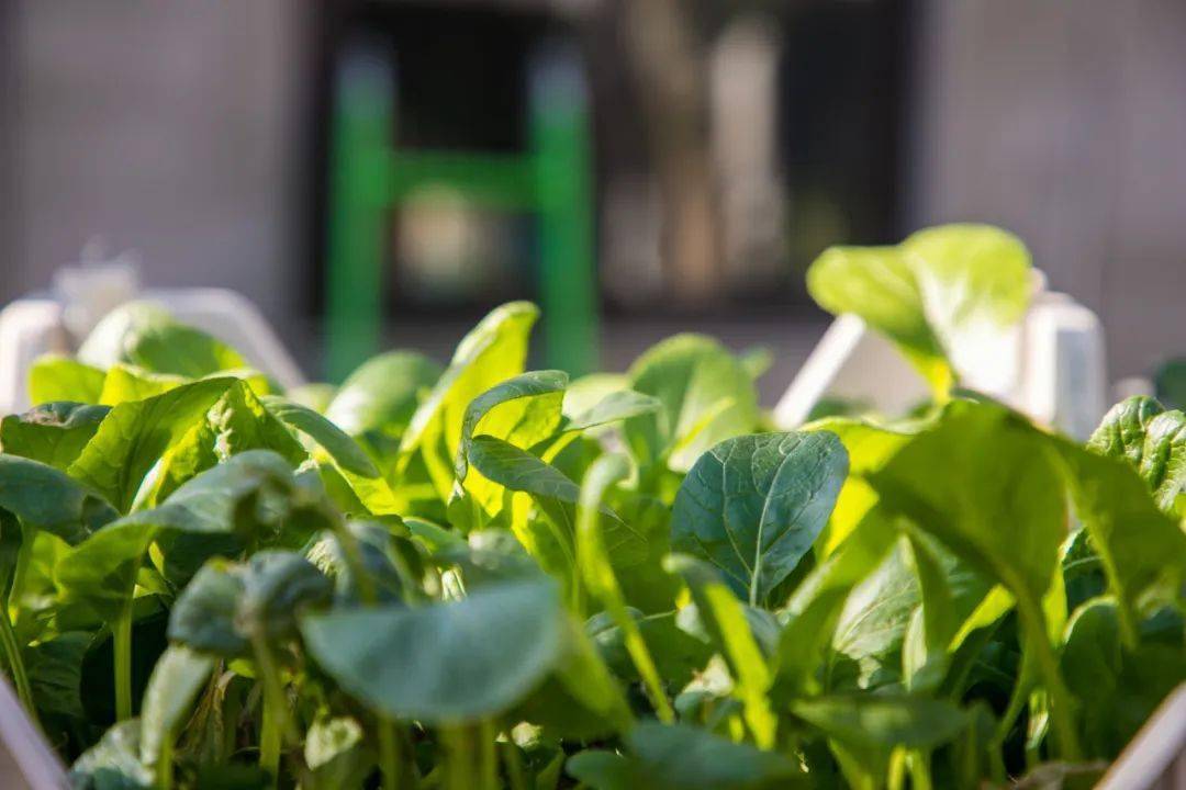 扬州_古旗亭_浴室