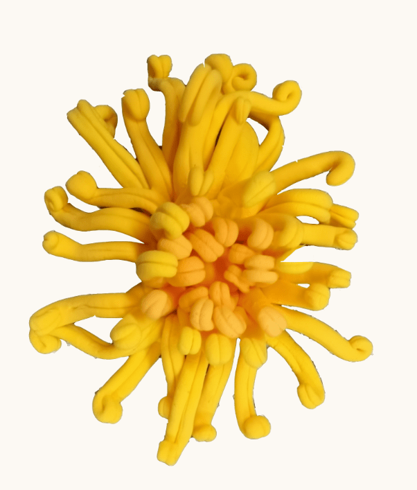 【粘土达人】菊花开_中国_品格_花朵