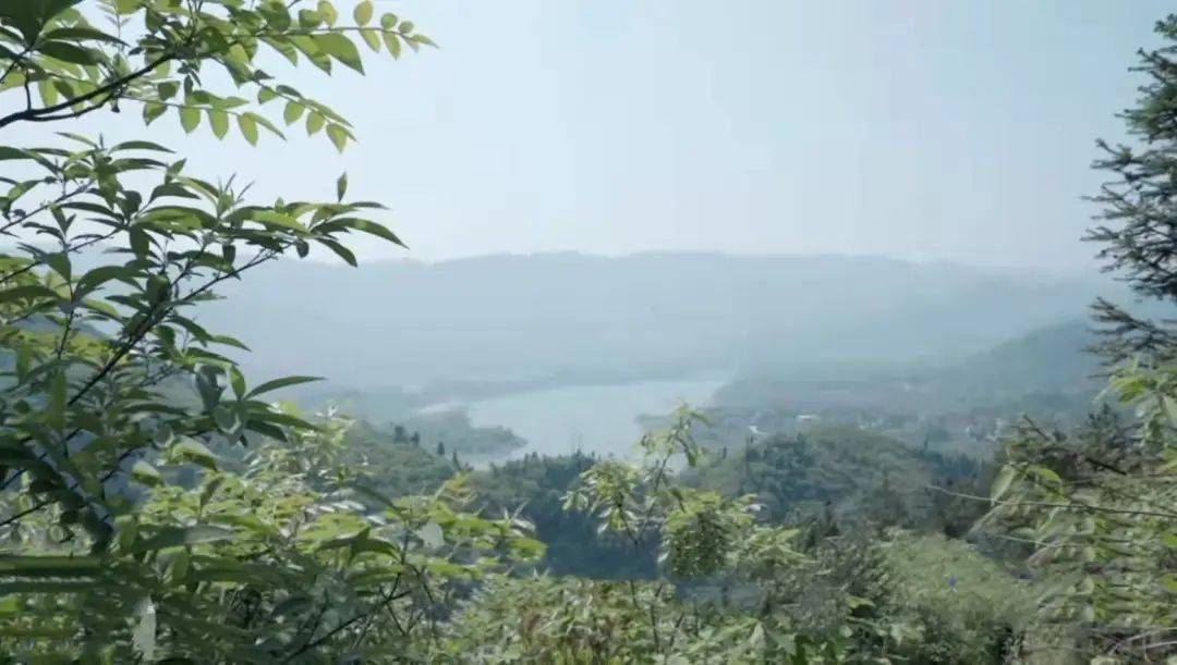 来华蓥山峨凤岭森林农庄